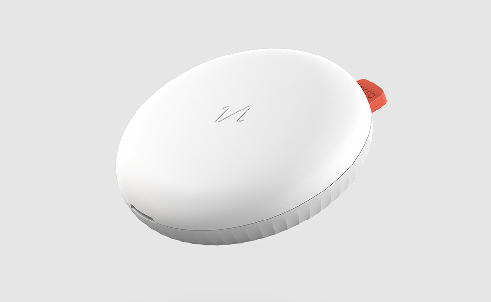 Earthquake Early Warning